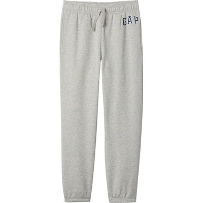 GAP Logo 609314-01