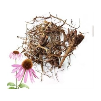 Aniland Echinacea kořen 50 g