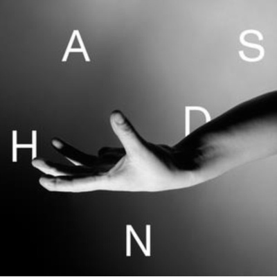 Hands - Wallis Bird LP
