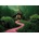 Art Puzzle - Puzzle Deep Forest - 1 000 piese