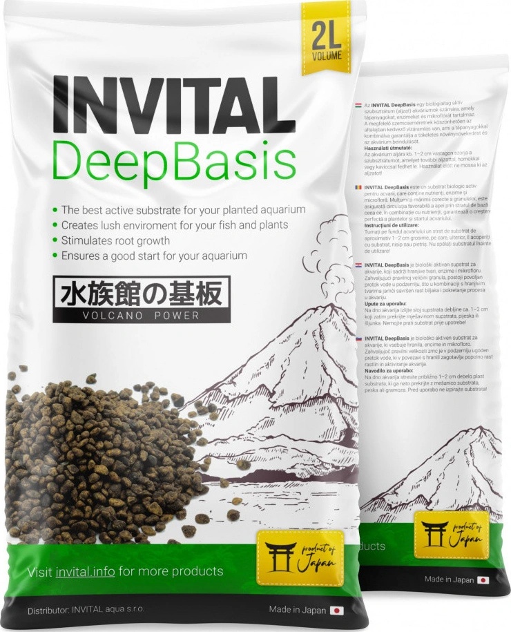 Invital DeepBasis 2 l