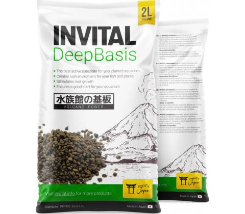 Invital DeepBasis 2 l