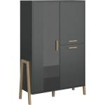 Bogdan Furniture Europe Витрина ниска Belle 1W-2D, антрацит