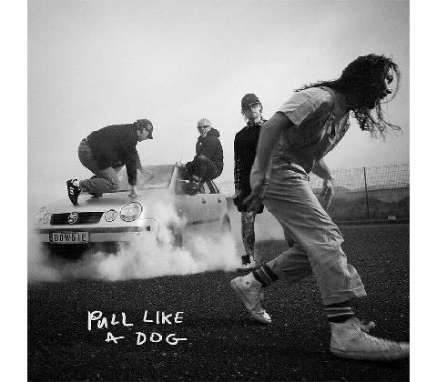 Scratch - Pull Like A Dog CD