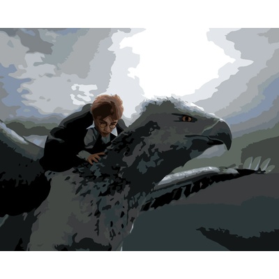 ZUTY Malování podle čísel HARRY POTTER LETÍCÍ NA KLOFANOVI Rozměr 40 x 50 cm Rámování vypnuté plátno na rám