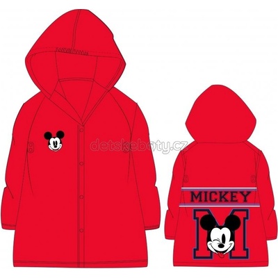 Eexee Mickey