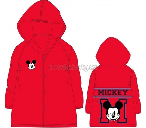 Eexee Mickey
