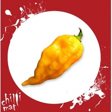 CHILLIMAT Sazenice chilli Bhut Jolokia Yellow 1 ks