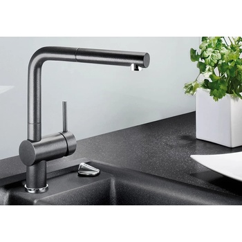 Image 1 of BLANCO Linus-S 526958