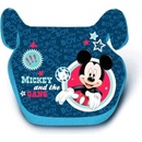 Compass 2019 Mickey Mouse