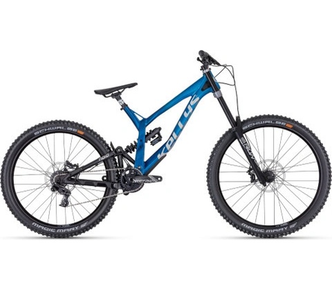 Kellys Noid 70 2025