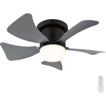 Globo 03609A