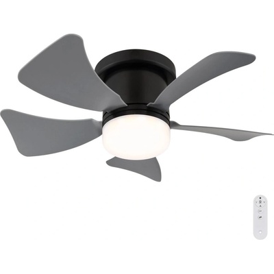 Globo 03609A