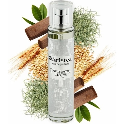 Aristea Numero 113 parfumovaná voda pánska 50 ml