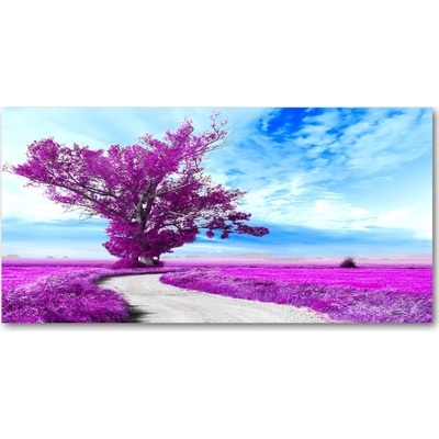 Foto obraz sklo tvrzené Strom a chodník 100x50 cm