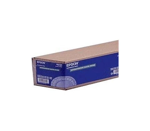 Epson C13S041387