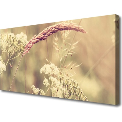 Obraz Canvas Divoké rastliny príroda 100x50 cm