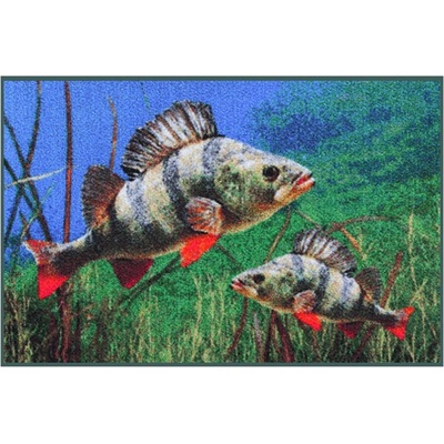 Rohožka Delphin 3D Okouni