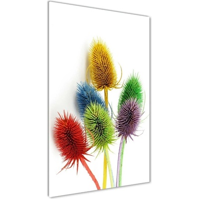 Vertikálny fotoobraz na skle Roľný 50x100 cm