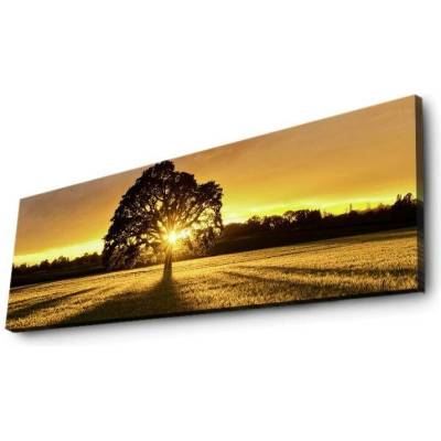 ASIR Obraz na plátně s led osvětlením ZÁPAD SLUNCE 30 cm