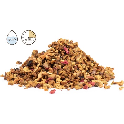 ManuTea Kaktus s malinou Cold Brew 15 Min 10 g