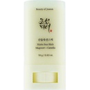 Beauty Of Joseon Matte Sun Stick Mugwort + Camelia opaľovací krém v tyčinke SPF50+ 18 g