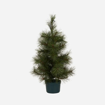 House Doctor LED svítící vánoční stromeček výška 60 cm PINUS House Dotor zelený