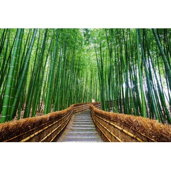 DIMEX ART s. r. o Флизелинов фототапет пътека през бамбукова гора 375 x 250 см