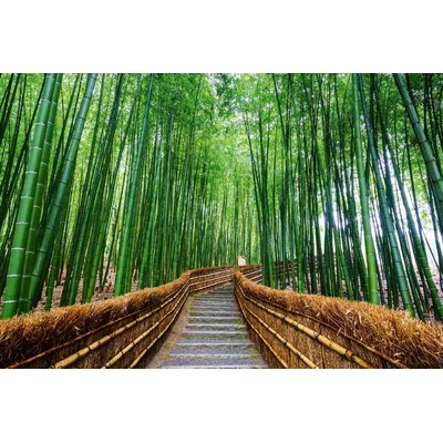 DIMEX ART Флизелинов фототапет пътека през бамбукова гора 375 x 250 см