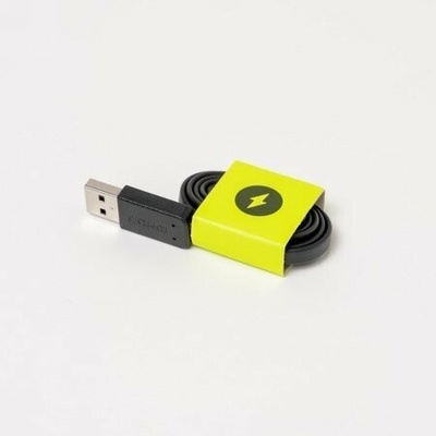Tech-Protect FGA300-CH-BK Nabíjecí USB FORm Nabíjecí USB-C pro Smart Swim