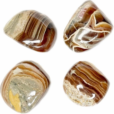 Nefertitis Kapillitit tromlovaný Argentina - M - cca 2 - 2,5 cm