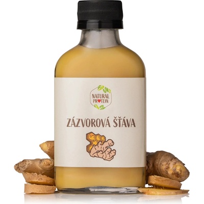 Natural Protein Zázvorová šťáva 100 ml – Zbozi.Blesk.cz