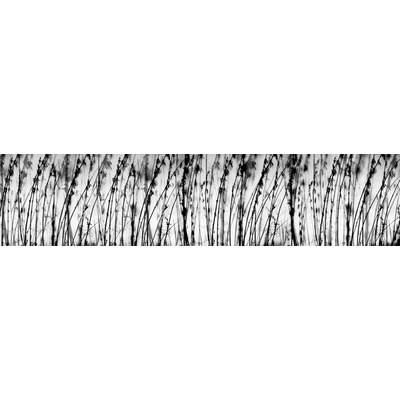 Dimex KI260-137 Fototapeta do kuchyně Grey rozměry 260 x 60 cm