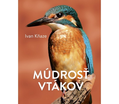 Múdrosť vtákov