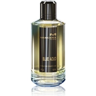 Mancera Blue Aoud parfémovaná voda unisex 120 ml tester