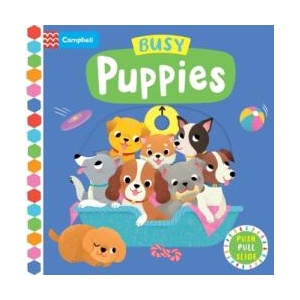 Busy Puppies | Campbell Books (ISBN: 9781529084771)