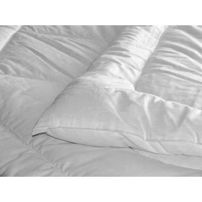 Forbyt prikrývka Celoročný Hladký 1300 g biela 135x200