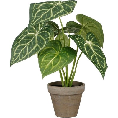 Umělá rostlina Caladium, 28 cm, zelená 1159763