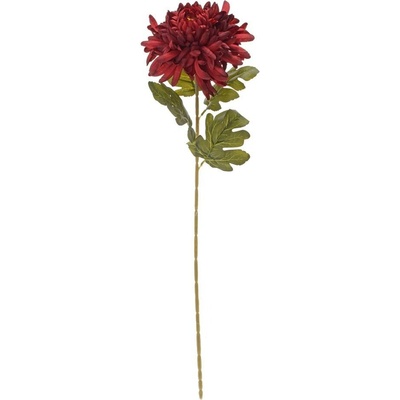 KS CHRYZANTÉMA BORDOVÁ 70CM