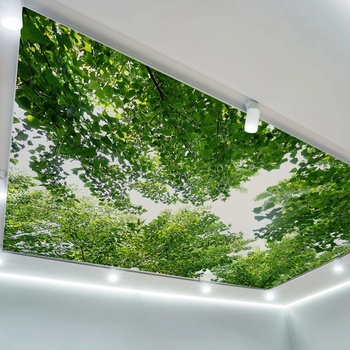 Art Gift Decor Фототапет за таван Зелени клони