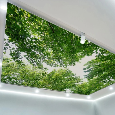 Art Gift Decor Фототапет за таван Зелени клони