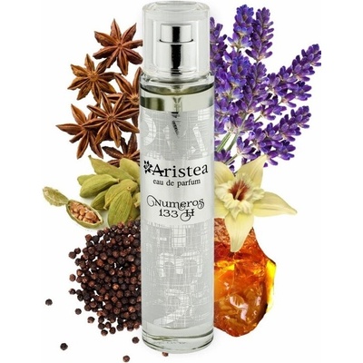 Aristea Numeros 133 parfumovaná voda pánska 50 ml