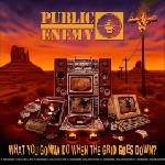 Universal Public Enemy: What You Gonna Do When the Grid Goes Down? - Vinyl (LP) (038336)