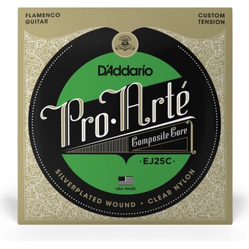 D'ADDARIO EJ25C