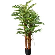 Areca palma 3 kmene, 160cm