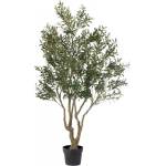 Bizzotto Olive plant w-vase h210 (0173150)