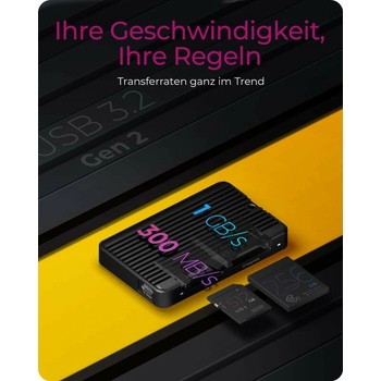 RaidSonic IB-CR504-C31