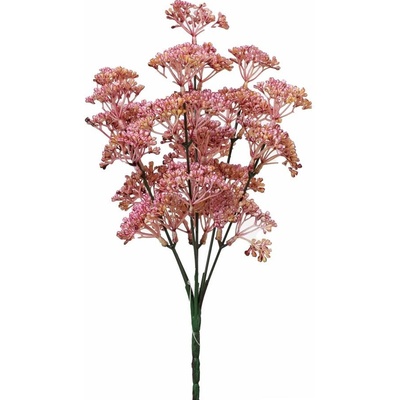 ZÁPICH TRACHELIUM RUŽOVÉ 30CM