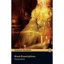 P6 Great Expectations book