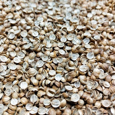 Microgreens Koriandr setý, lámaná semínka na microgreens, 100 g